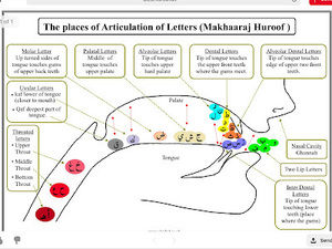 Meet your Posher, Siham